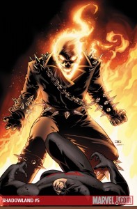 Shadowland #5 covr